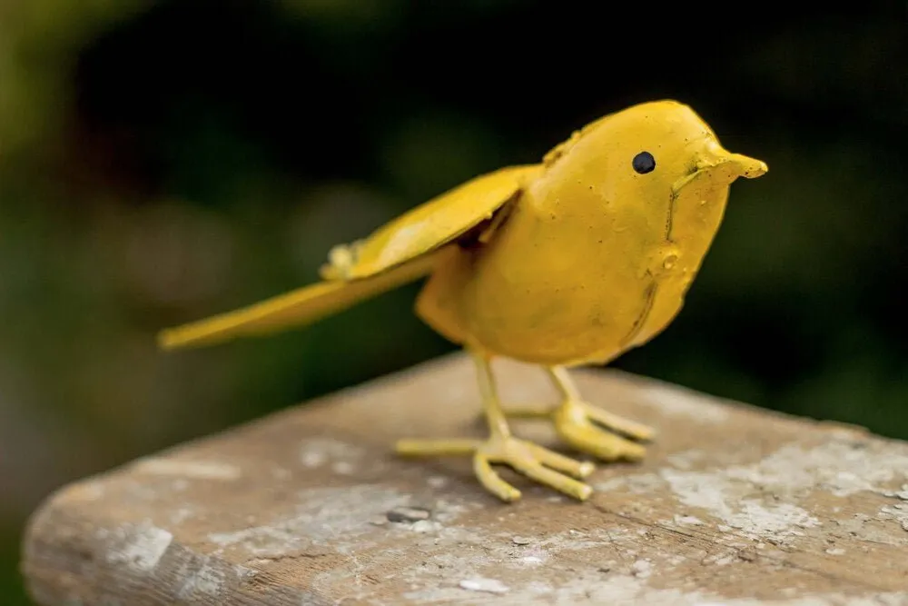 Canary Recycled Metal
