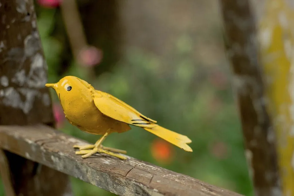 Canary Recycled Metal