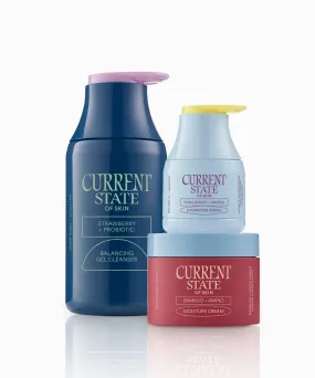 Current State Barrier Repair Kit