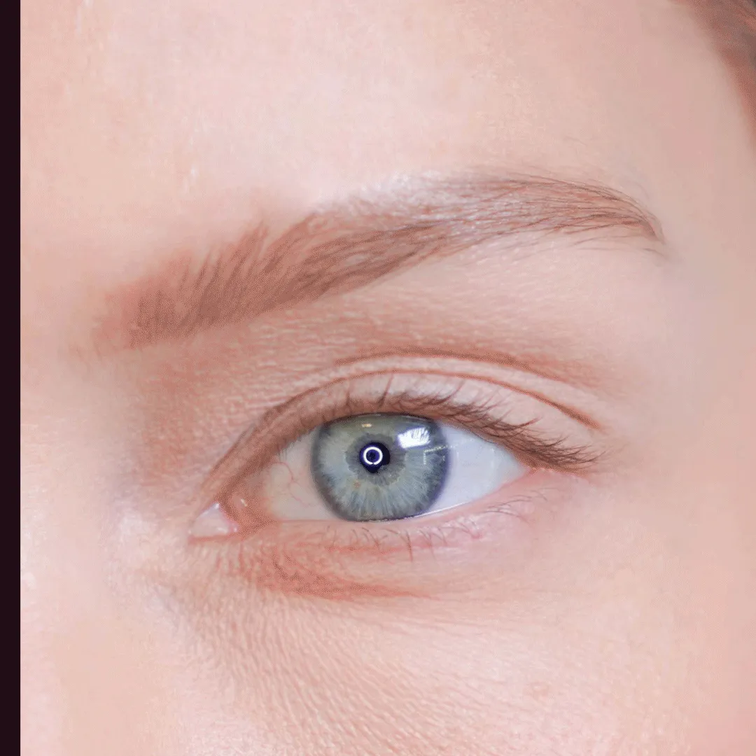 Eyebrow Mousse (MSRP $24.00)