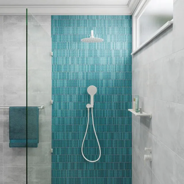 Fienza Kaya Hand Shower Round Plate Matte White