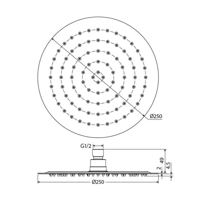Fienza Kaya Round Shower Head 250mm Urban Brass