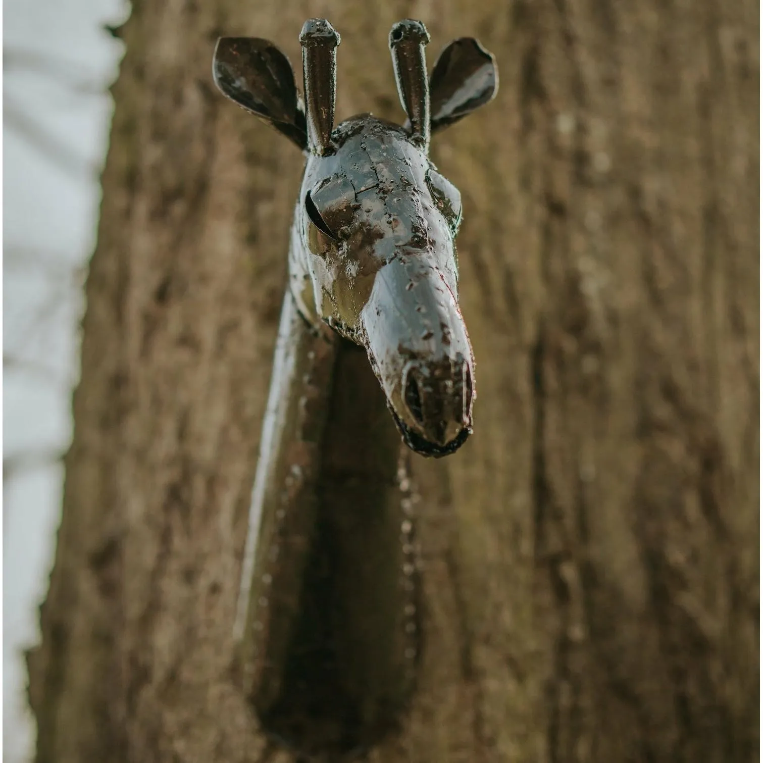 Giraffe Head Sculpture