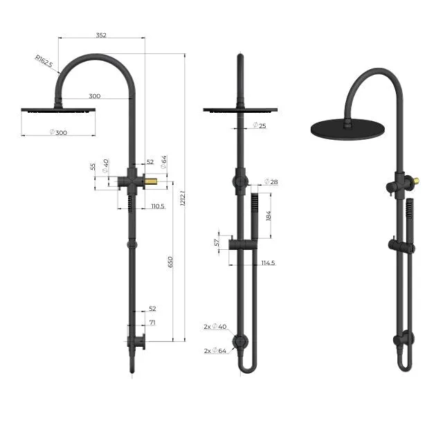 Meir Gooseneck Shower Set with 300mm rose, Single-Function Hand Shower Champagne