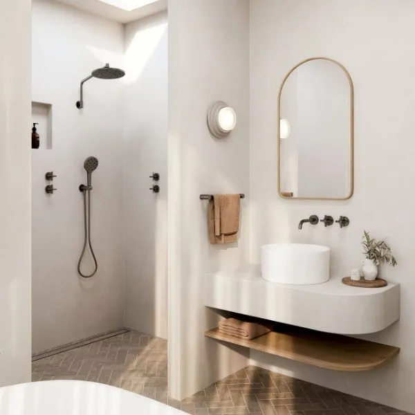 Phoenix Tapware Ormond Hand Shower Brushed Carbon