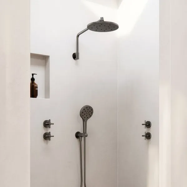 Phoenix Tapware Ormond Hand Shower Brushed Carbon